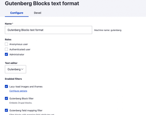 Drupal Gutenberg text format settings